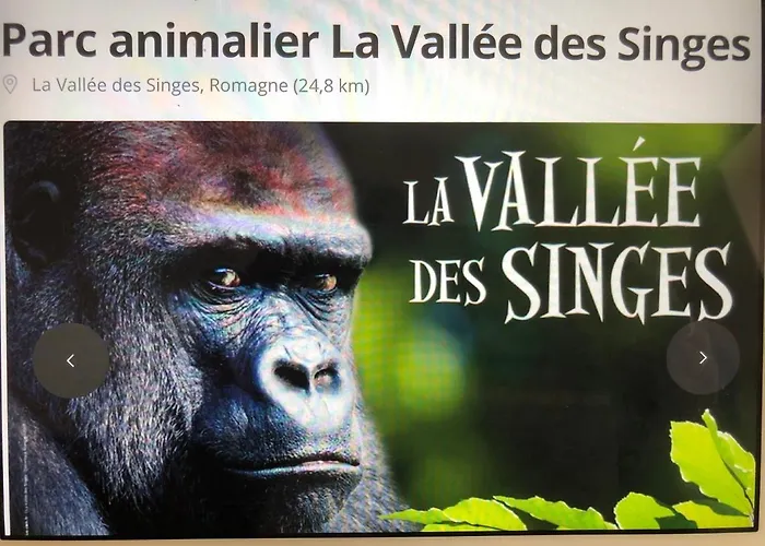 “les Reflets De La Charente” *